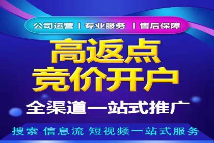 SEM广告案例：数据分析驱动营销决策